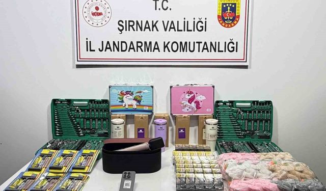 Şırnak'ta jandarmadan asayiş, kaçakçılık ve narkotik operasyonu