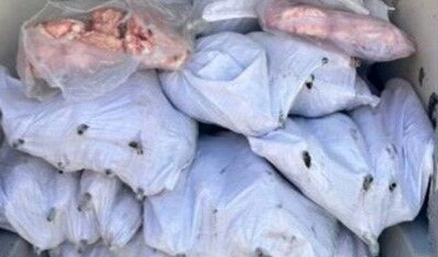 Tekirdağ'da 1,5 ton iç yağ ve 140 kokoreç imha edildi