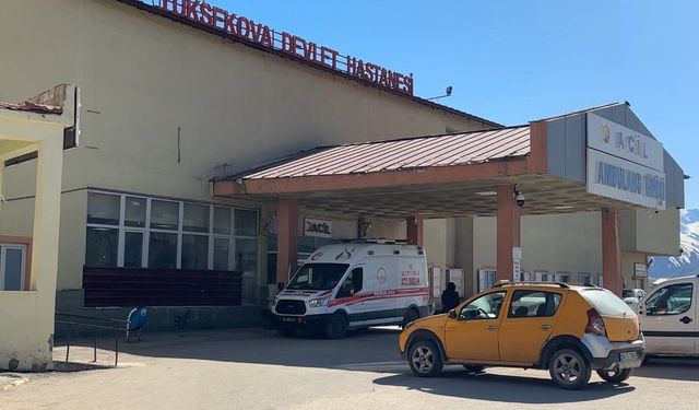 Yüksekova'da patlama: 1 çoban yaralı, 3 koyun telef oldu