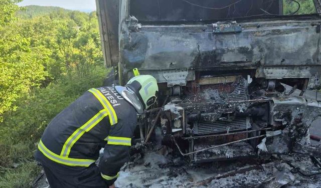 Zonguldak'ta seyir halindeki kamyon alev alev yandı