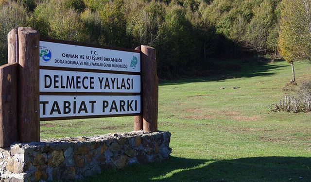 Yalova’da Delmece Yaylası yakınında maden ruhsatı iddiası