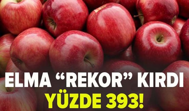 Elma "rekor" kırdı!