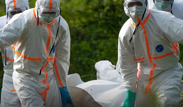 DSÖ'den Ebola kararı: Küresel sağlık acil durumu ilan edildi