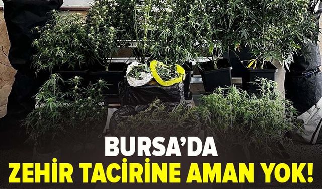 Bursa'da zehir tacirine aman yok!