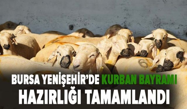 Bursa Yenişehir'de kurban satış yeri ve mezbaha bayrama hazır