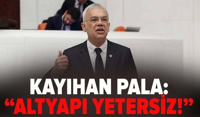 Kayıhan Pala: Altyapı yetersiz!