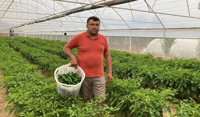 Kilosu 350 TL ama ilgi çok