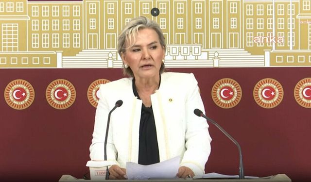 İstanbul Milletvekili Nimet Özdemir, CHP'den istifa etti