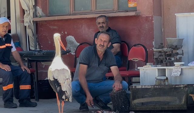 Bu dostlar da kayıkta değil kahvehanede buluşuyor