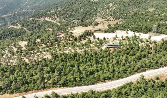 Gürsu Mesire Alanı Yeniden Açılıyor