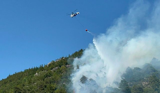 Bursa’daki orman yangınında son durum
