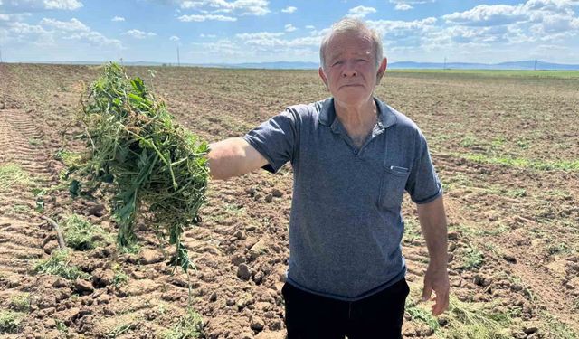 3 bin 500 dönümlük tarım arazisinin 2 ayrı kişiye kiralandığı iddiası