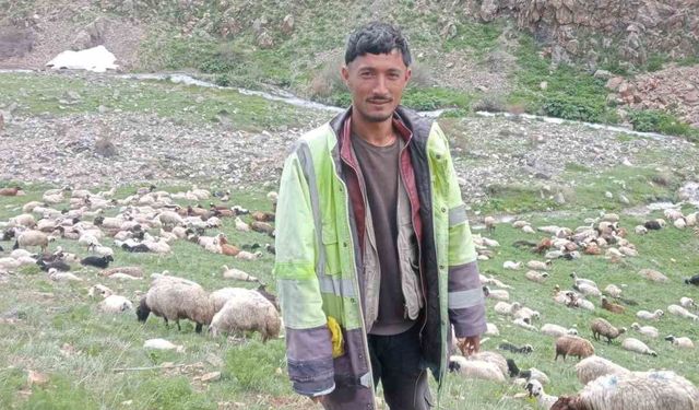 Ağrı'da kaçan cinayet zanlısı jandarma kontrol noktasında yakalandı