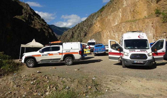 Artvin'de dereye uçan kamyondaki kayıp şahsın cansız bedenine 14 gün sonra ulaşıldı
