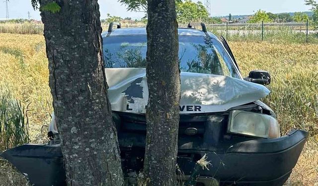 Babaeski'de ağaçlara çarpan otomobilin sürücüsü yaralandı
