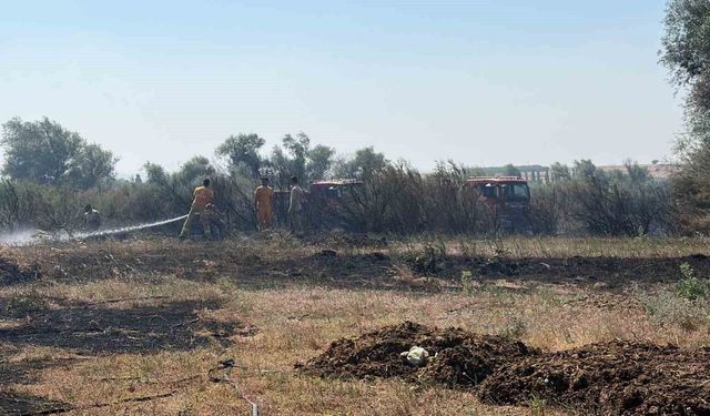 Balıkesir'de iki ayrı ilçede çıkan arazi yangınları kontrol altına alındı
