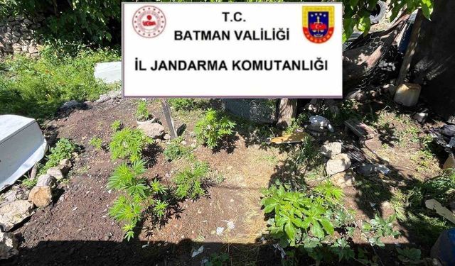 Batman'da uyuşturucu ve kaçak ürün operasyonu