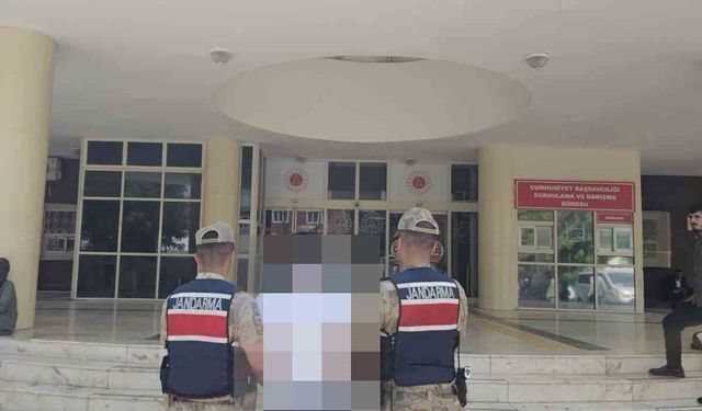 Birecik'te aranan şahıs jandarmaya yakalandı