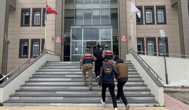 Bitlis'te göçmen kaçakçılığı operasyonu