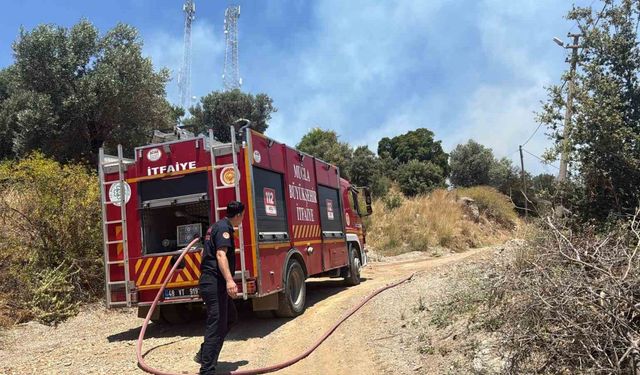 Bodrum'da çıkan yangın büyümeden söndürüldü