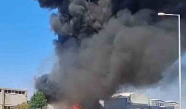 Bursa'da çöplük yangını paniğe neden oldu