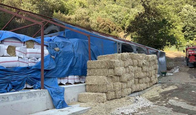 Bursa'da ormana sıçrayan yangın kontrol altına alındı