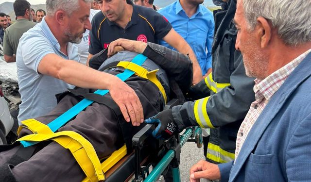 Çaldıran'da trafik kazası: 3 yaralı
