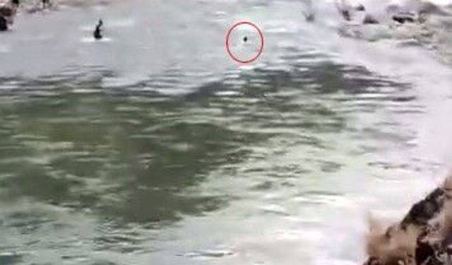 Çayda kaybolmuştu, akıntıya kapıldığı anlar kameraya yansıdı