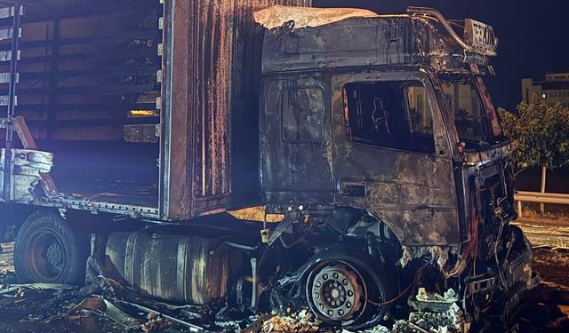 Cizre'de seyir halinde tır alev alev yandı
