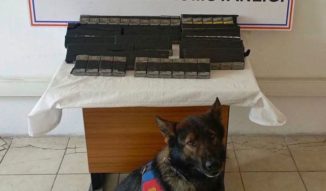Diyadin'de 180 paket kaçak sigara yakalandı