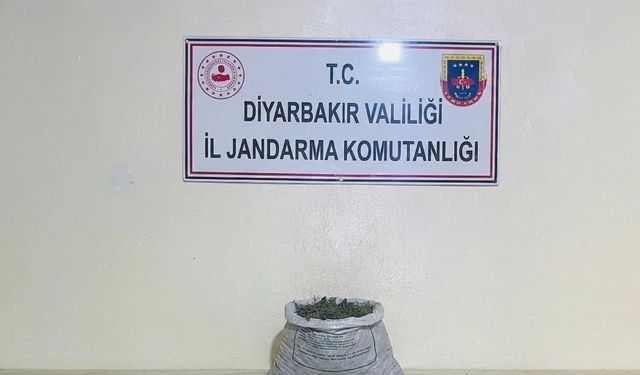 Diyarbakır'da 19 kilo 800 gram esrar ele geçirildi