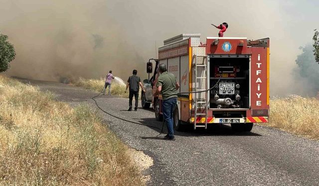 Diyarbakır'da ekili arazide yangın: Yüzlerce dönüm buğday tarlası kül oldu