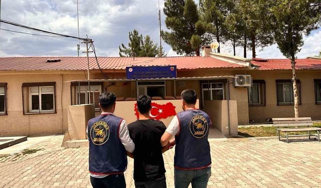 Diyarbakır'da haklarında kesinleşmiş hapis cezası bulunan 141 kişi yakalandı
