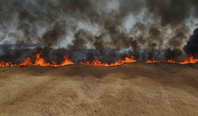 Edirne'de çiftçinin bir yıllık emeği küle döndü