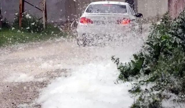 Erciş'te ot yangınları
