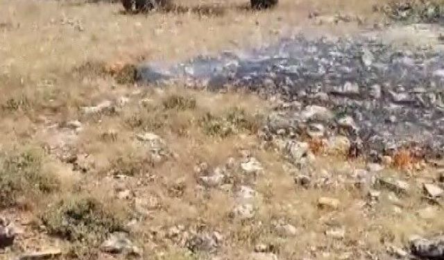 Gercüş'te korkutan yangın: Köyün geçim kaynağı ekili alanlar son anda kurtarıldı