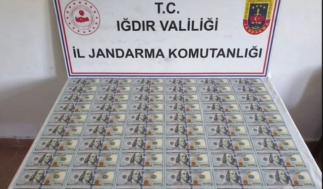 Iğdır'da 10 bin dolar değerinde sahte banknot ele geçirildi