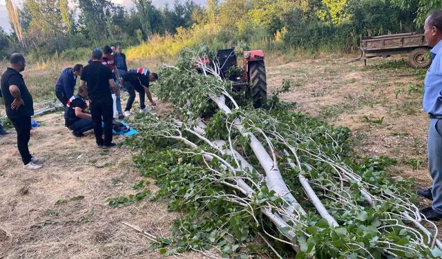 Isparta'da kestiği ağacın altında kalan adam hayatını kaybetti