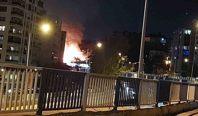 İzmir'de otluk alanda korkutan yangın