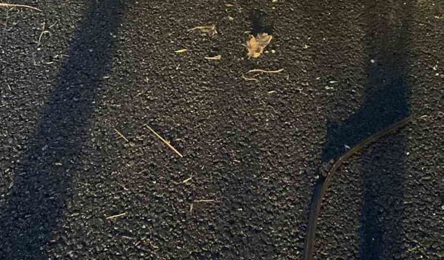 Lastiği patlayan otomobil bariyerlere çarparak takla attı: 2 yaralı