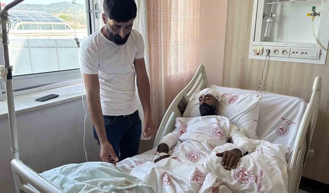 Mantar toplarken ayı saldırısına uğradı, kollarıyla başını siper ederek hayatta kaldı