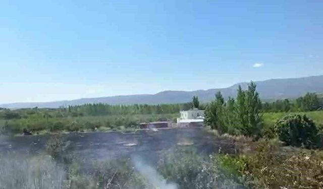 Mersin Mut'ta yangın: 15 dönüm bahçe zarar gördü