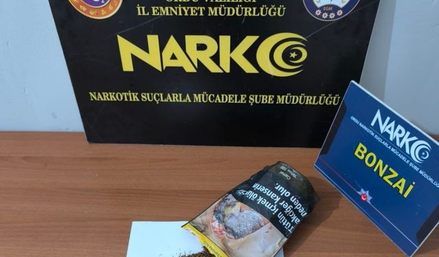 Ordu'da uyuşturucu operasyonlarında 1 tutuklama