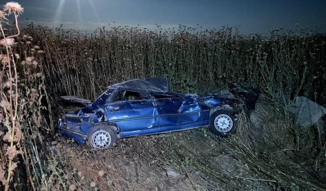 Şanlıurfa'da otomobil şarampole devrildi: 4 yaralı