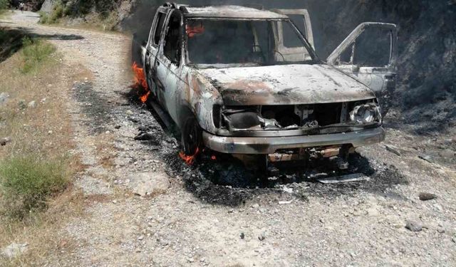 Seyir halindeki araçta çıkan yangın, ormanlık alana sıçradı