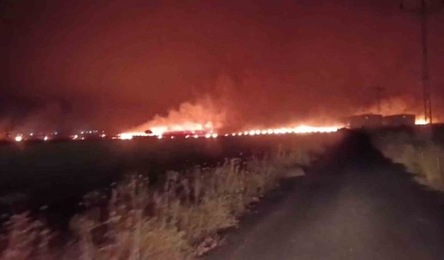 Şırnak'ta çıkan yangında 300 dönümlük alan küle döndü