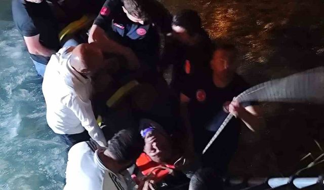 Van'da dereye düşen kamyonetin sürücüsü yaralandı