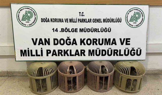 Van'da kaçak avcılığa 51 bin 878 TL ceza