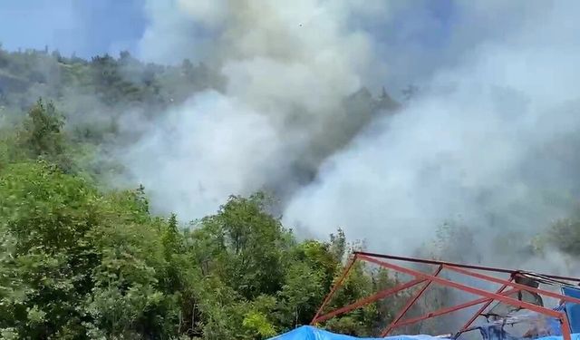 Bursa'da ormanlık alanda korkutan yangın