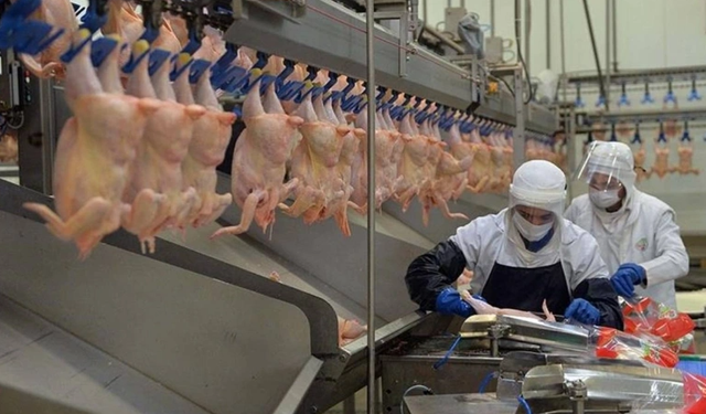 Beyaz et fiyatlarına denetim: Marketlere 10 milyon TL ceza